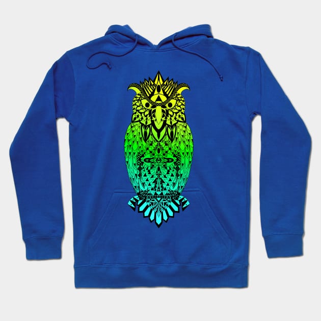 magical owl bird pattern ecopop Hoodie by jorge_lebeau